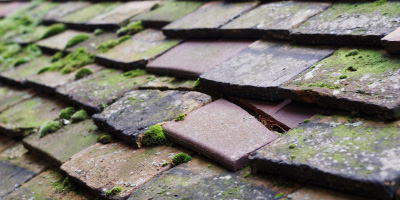Bassingbourn roof repair costs